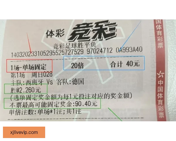 世界杯在线投注攻略 提升投注技巧赢取大奖的必备指南