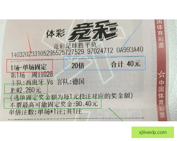 世界杯在线投注攻略 提升投注技巧赢取大奖的必备指南
