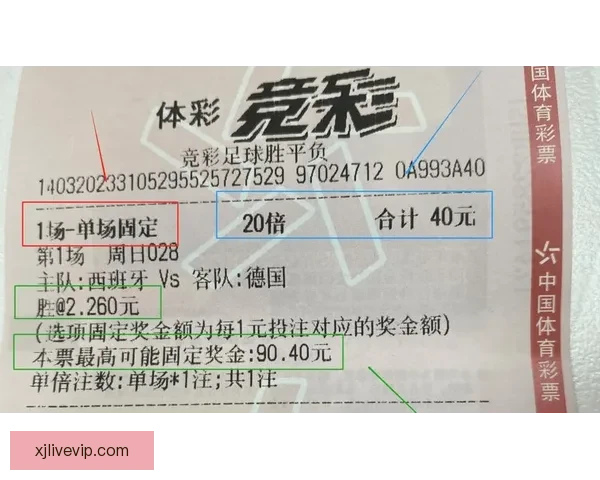 世界杯在线投注攻略 提升投注技巧赢取大奖的必备指南
