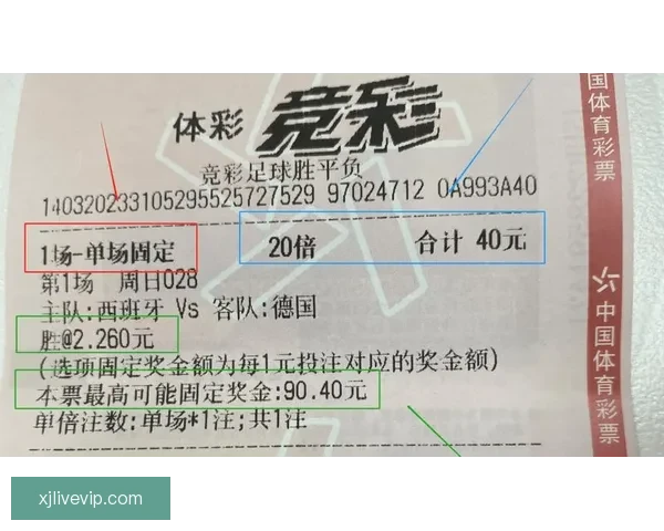 世界杯在线投注攻略 提升投注技巧赢取大奖的必备指南